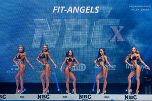 FIT-ANGELS 1 раунд